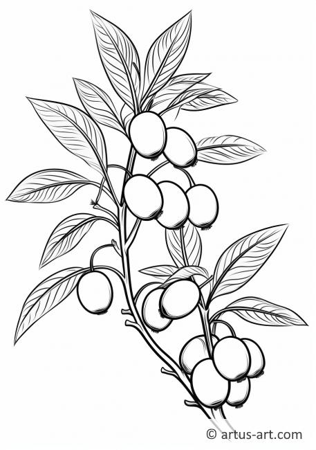 Pagină de colorat cu tufă de huckleberry